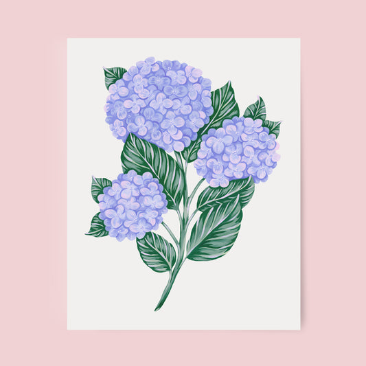 Mia Whittemore_Hydrangea Floral Art Print