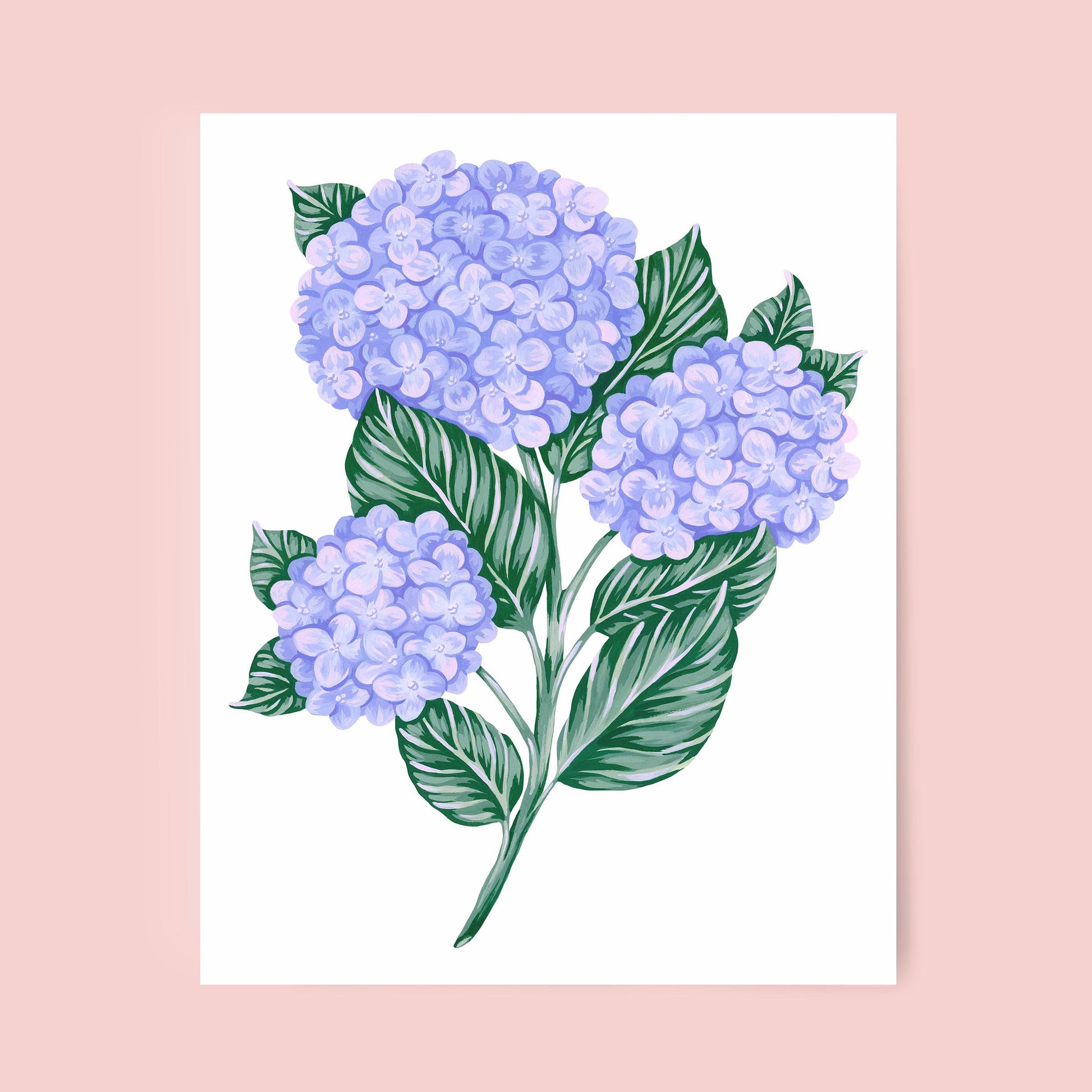 Mia Whittemore Hydrangea Art Print