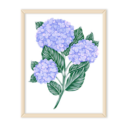 Hydrangea Art Print