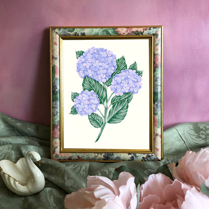 Hydrangea Art Print