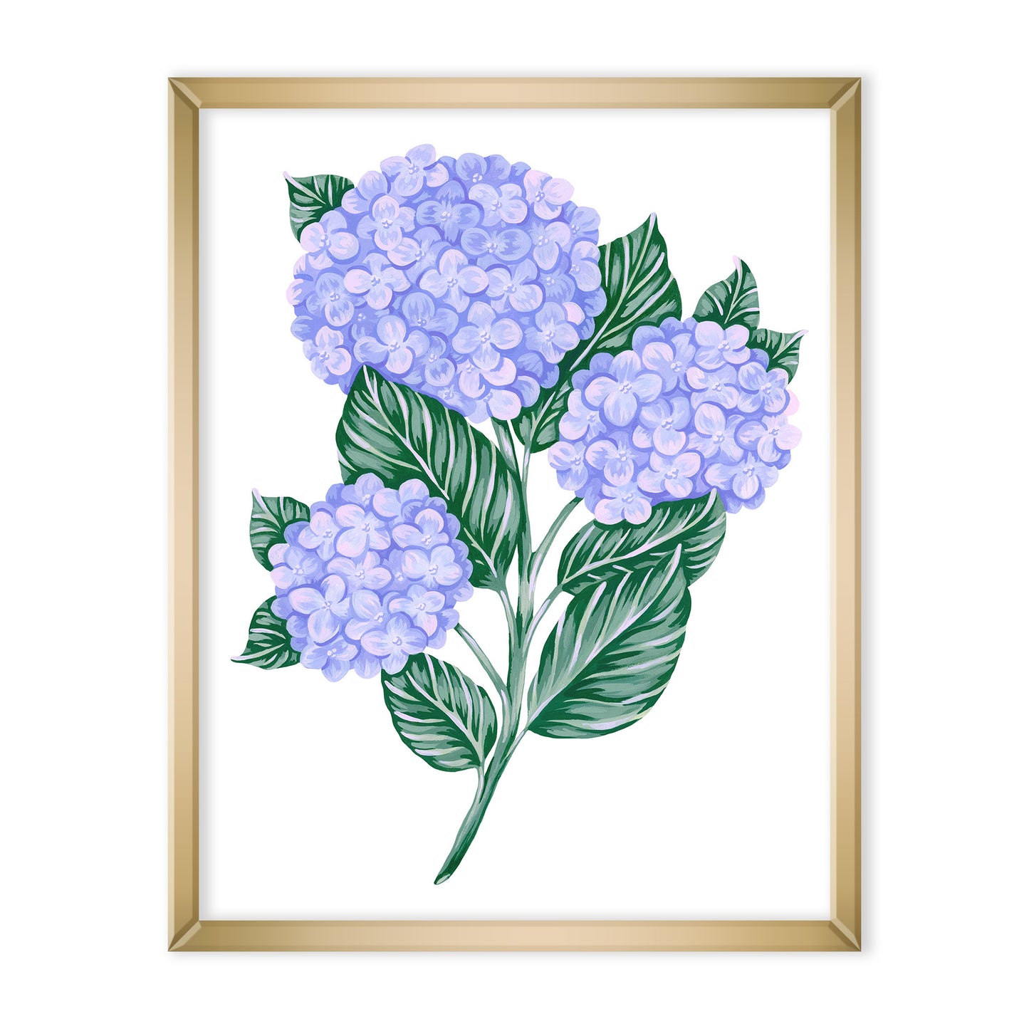 Hydrangea Art Print