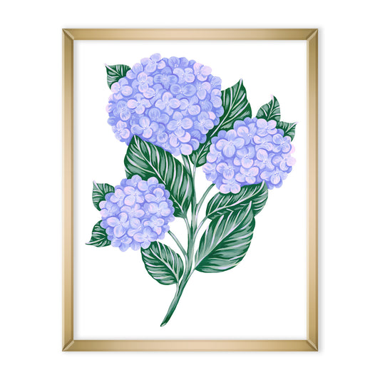 Hydrangea Art Print