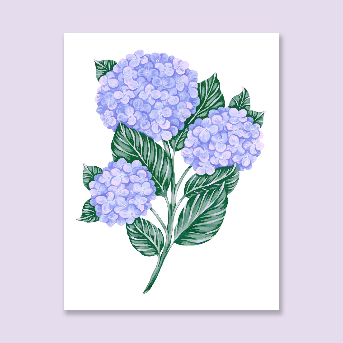 Hydrangea Art Print