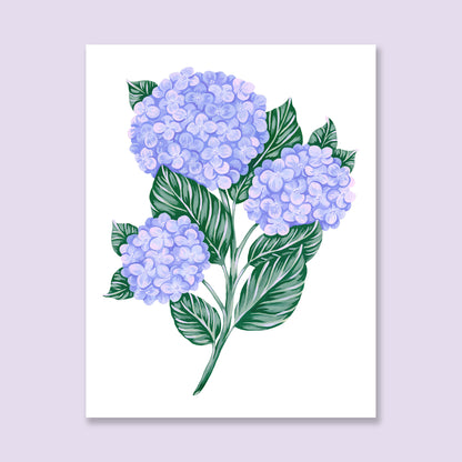 Hydrangea Art Print
