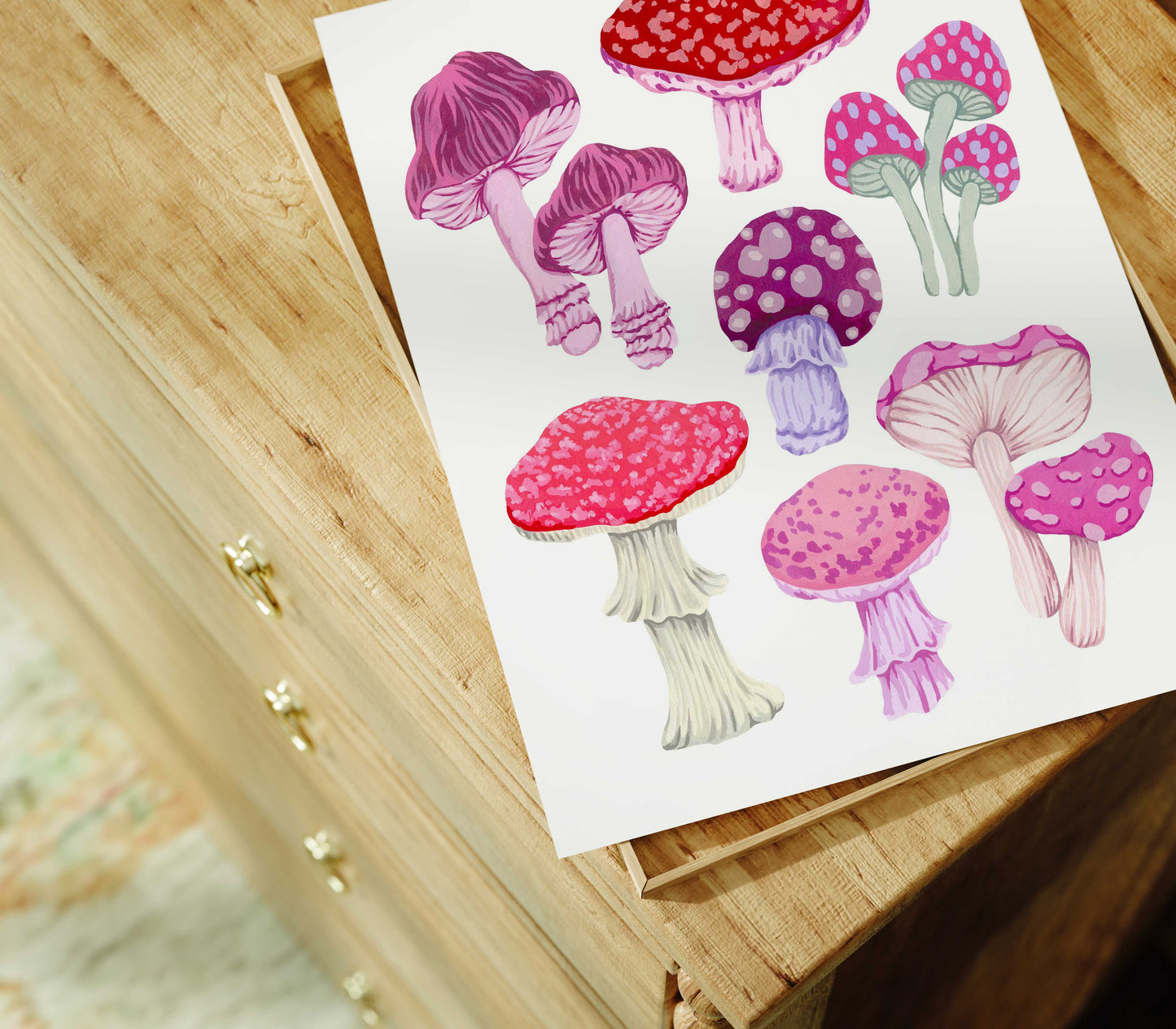 Mia_Whittemore_Mushroom_Collection_Display